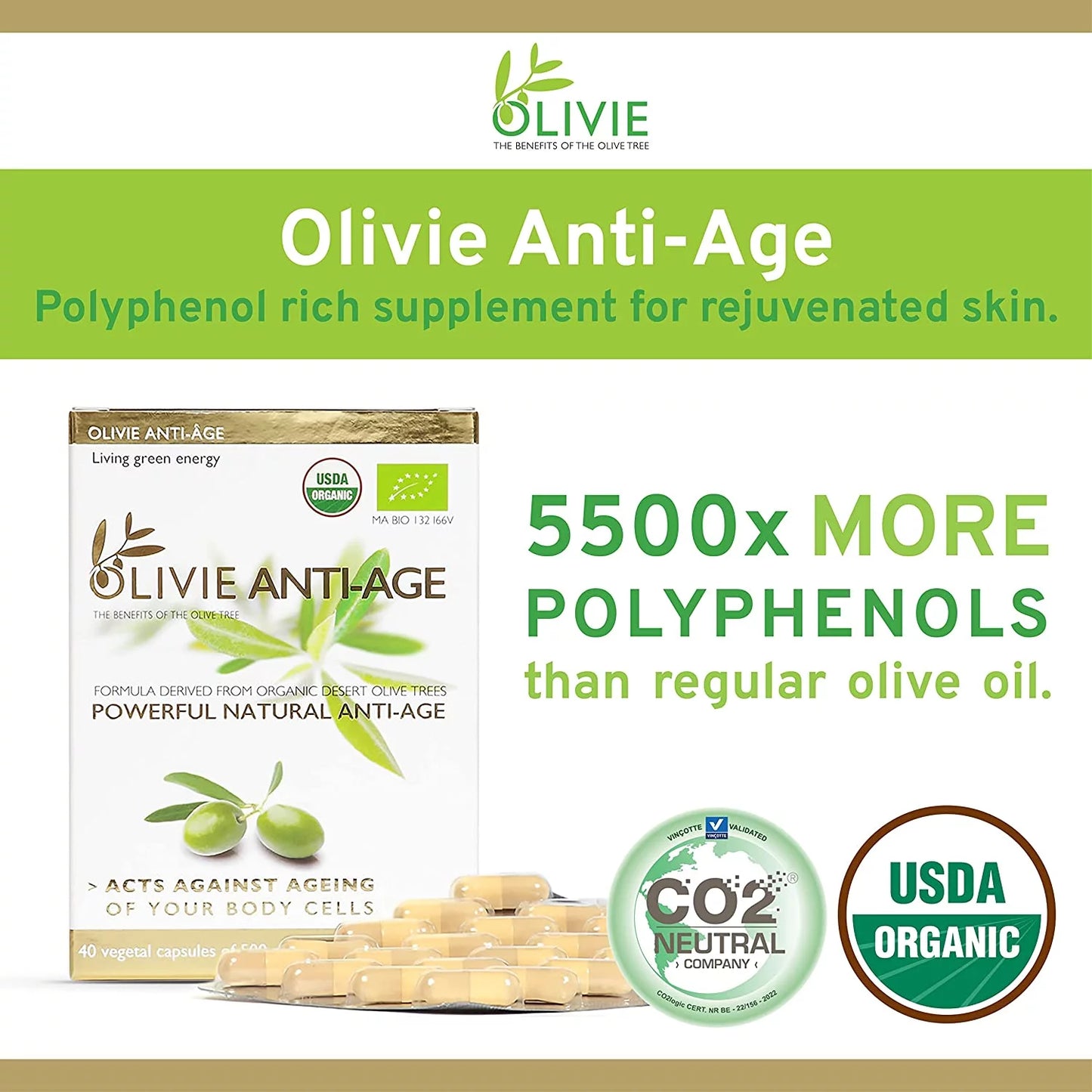 Organic Antioxidant Polyphenols Rich Olive Leaf Extract Supplement Capsules OLIVIE | Hydroxytyrosol Oleuropein anti Aging Supplement | 40 Capsules