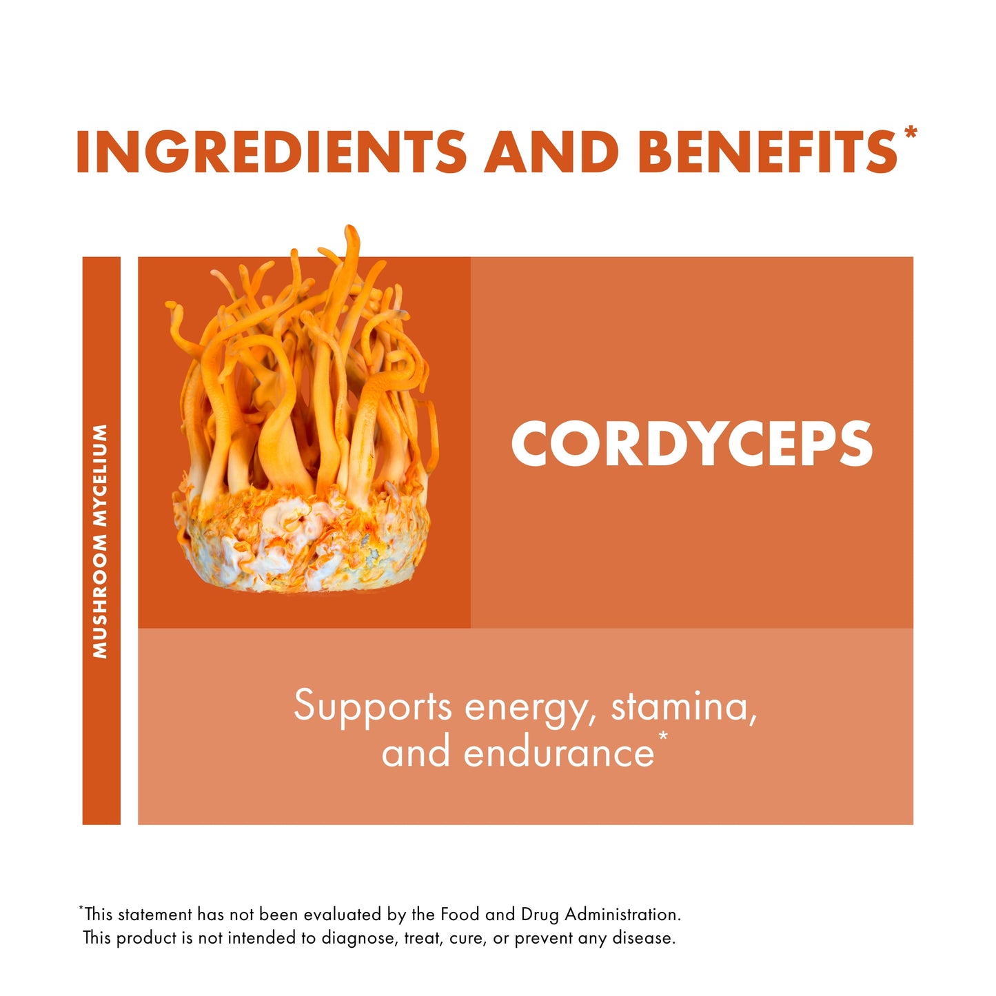 Cordyceps Capsules - 30 Capsules (15 Servings)